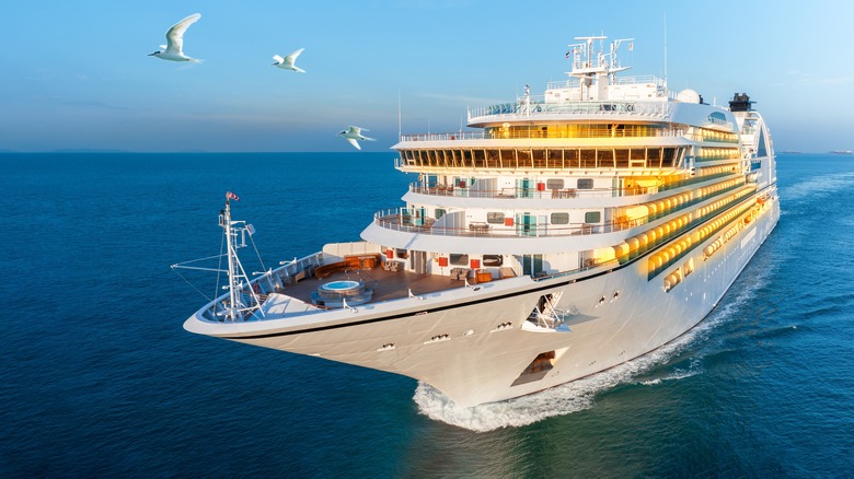 cruise ship seagulls
