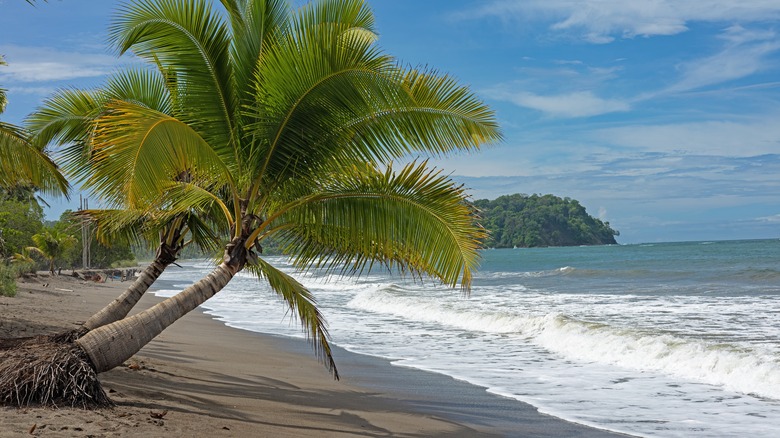 beach at Samara Costa Rica
