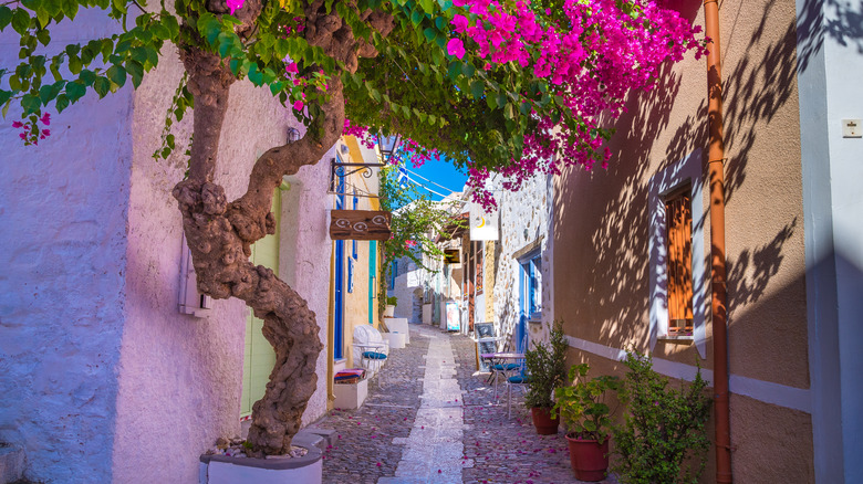 Colorful Greek alleyway with flowers