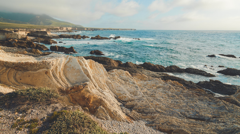 Montaña de Oro State Park 