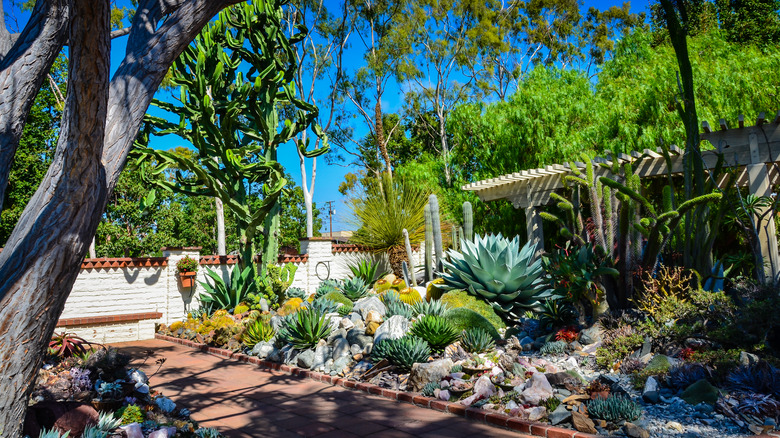 Sherman Library and Gardens