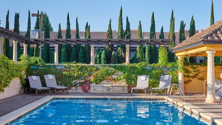 Swimming poll with cypress trees