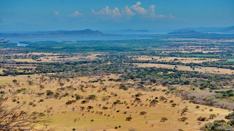  Barra Honda National Park