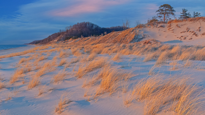 Sand dunes at sunset in Saugatuck, Michigan