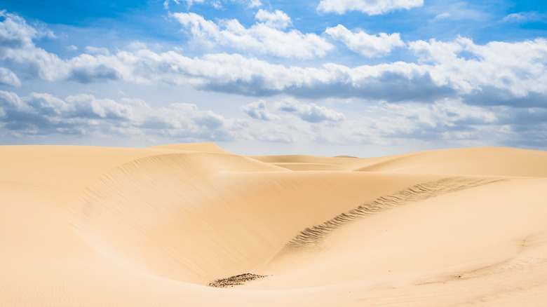 Viana desert sand dunes at Boa Vista