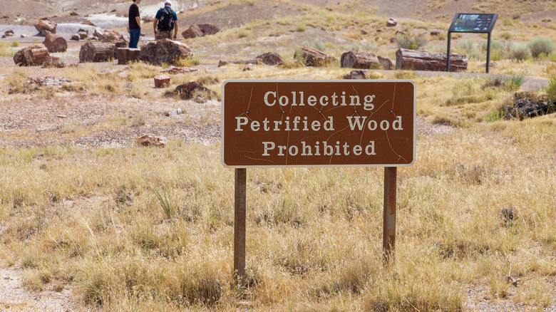 Sign at Petrified Forest National Park