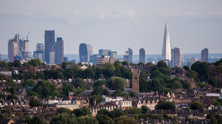 London skyline from Alexandra Palace Park