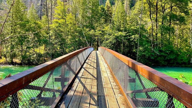 Suspension bridge leading to Trial of Cedars