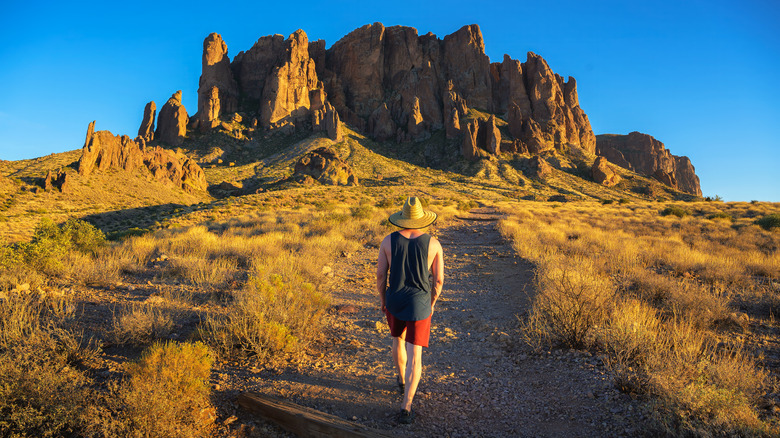 Lost Dutchman State Park hiker