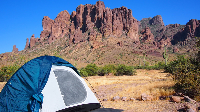 Lost Dutchman State Park camping