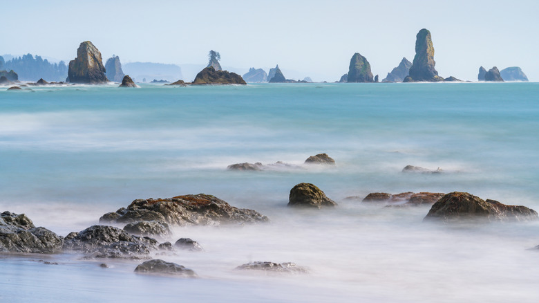 Quillayute Needles and the sea