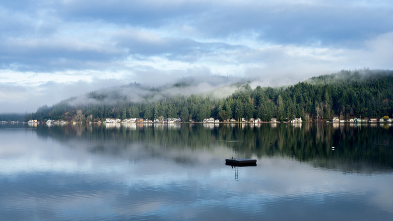 Misty hills around Hood Canal