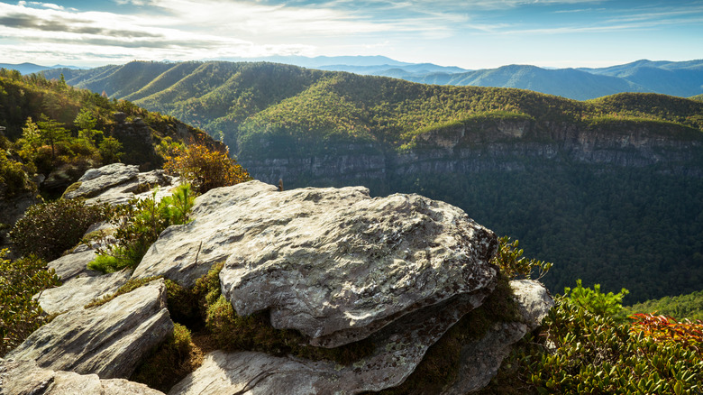 Linville Gorge Is the ‘Grand Canyon of the East’ (and Has a Waterfall)