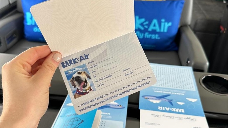 Hand holding a BarkAir dog passport