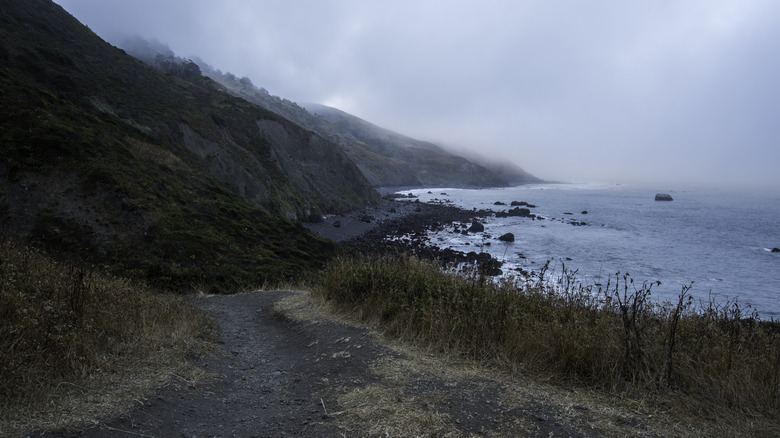 lost coast ocean cliffs hike