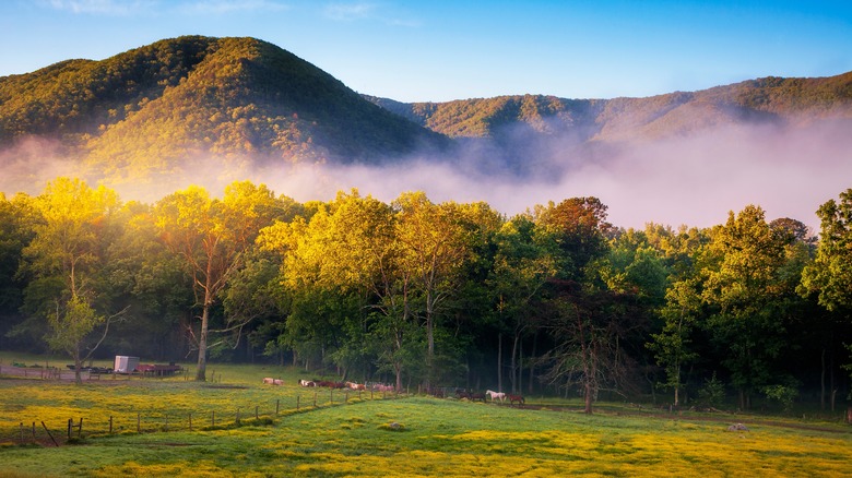 Mountain landscape at Cades Cove