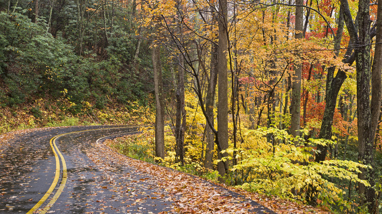 Townsend, Tennessee fall foliage