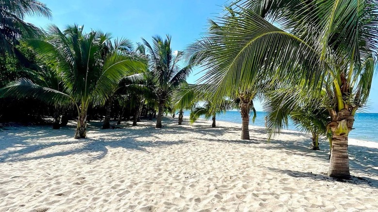 Paradise Beach, Cozumel 