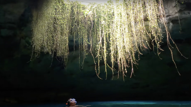 Snorkeler inside Devil's Den