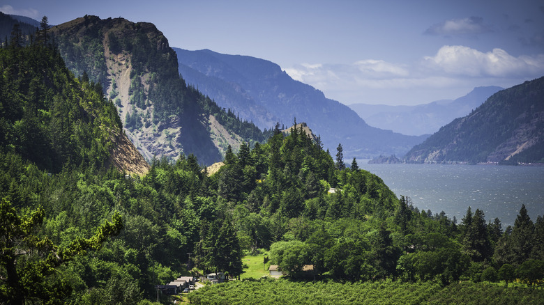 Rugged rock formations at the Columbia River Gorge in the Pacific Northwest