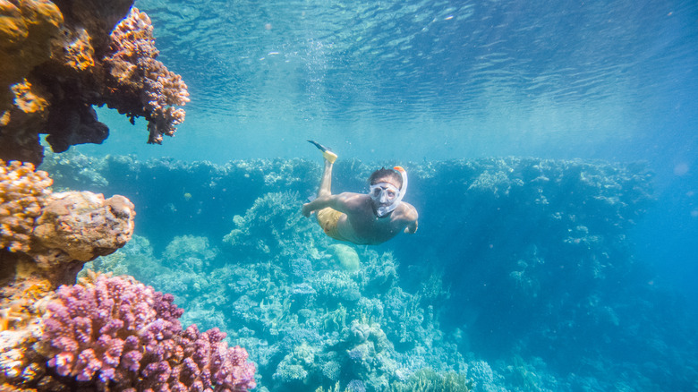 man snorkeling corals 