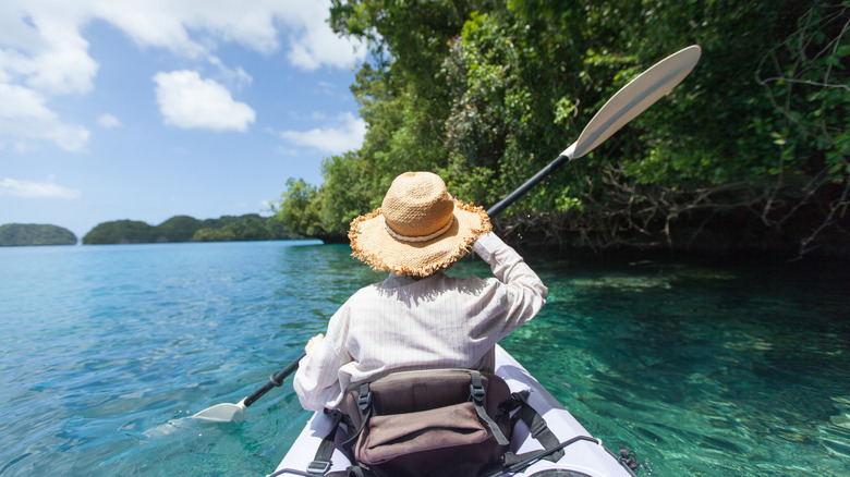 person paddling canoe