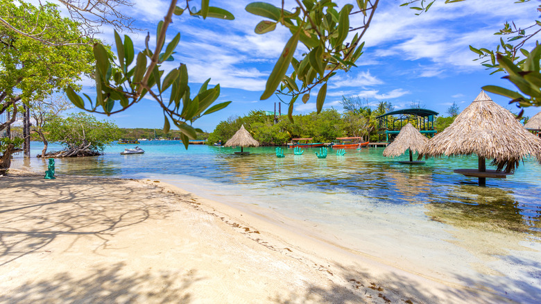 thatched umbrellas on Roatan beach