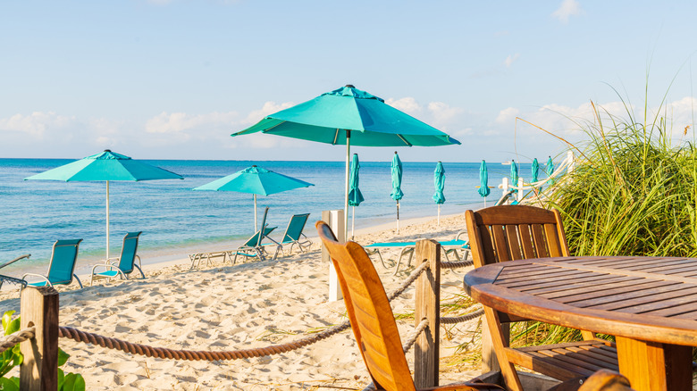 chairs and umbrellas on beach