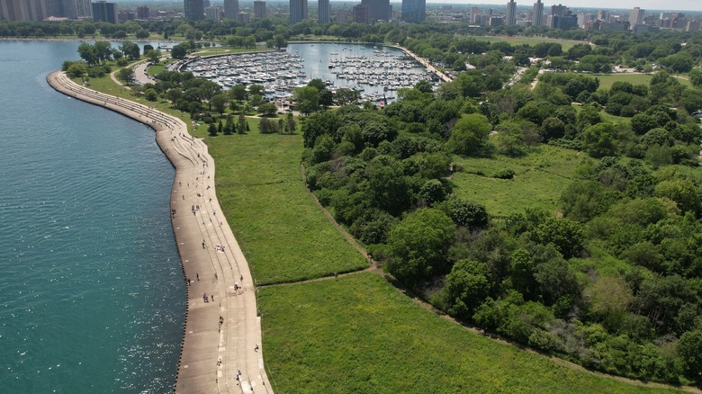 Montrose beach