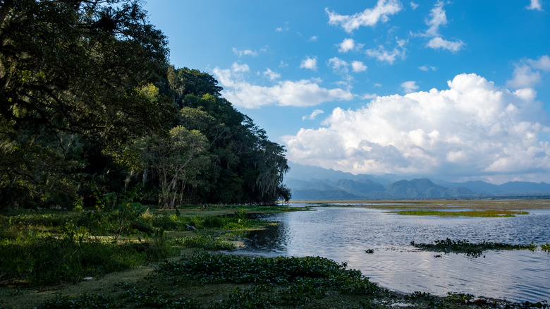 Honduran lagoon