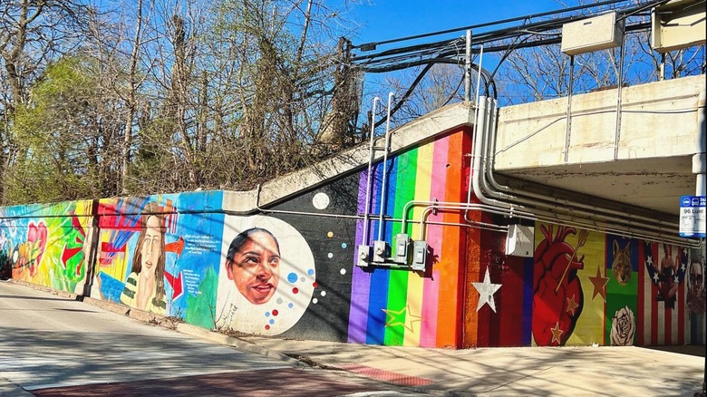 Rogers Park Murals