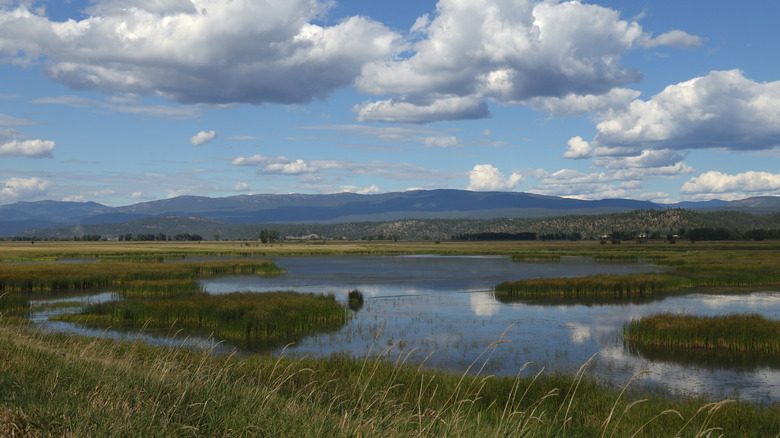 the Koontenai Wildlife Refuge near Bonners Ferry