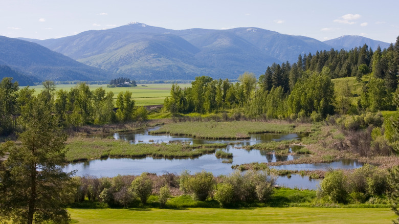 Paradise Valley just outside of Bonners Ferry