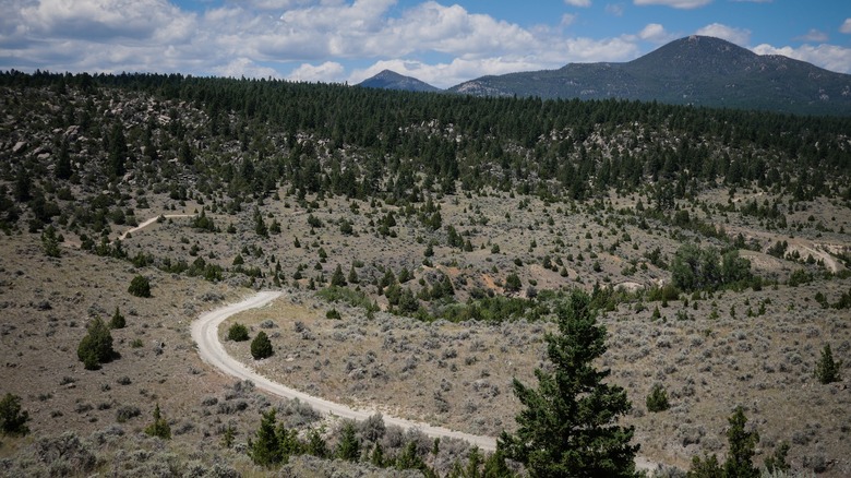 Dirt ATV trail through Pipestone area in Montana