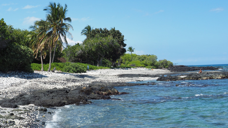 A beach and rocks on the island of Hawaii