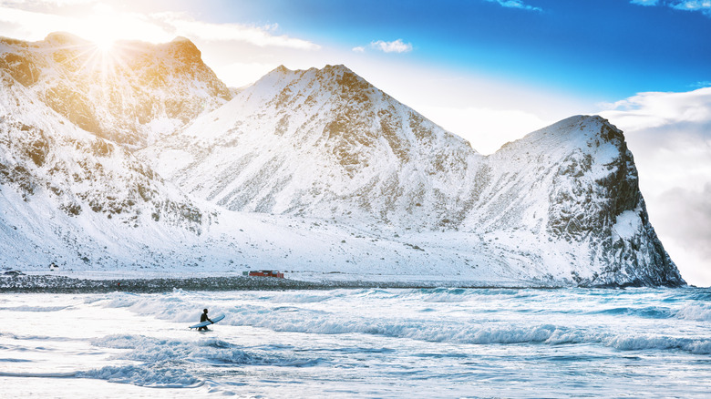 Lone surfer walks in waves near snow-covered mountain in Lofoten, Norway