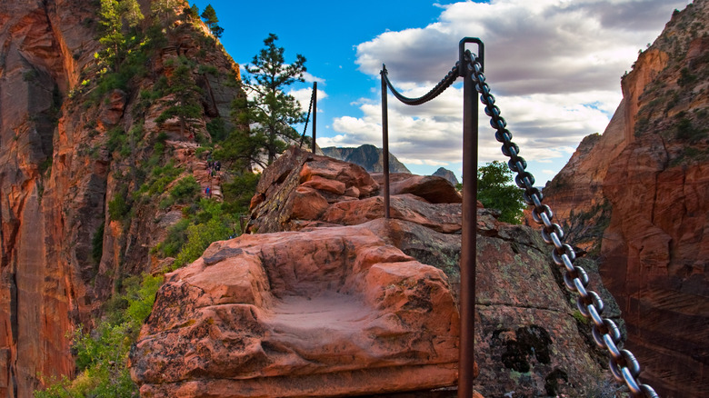 Angels Landing chains on trail