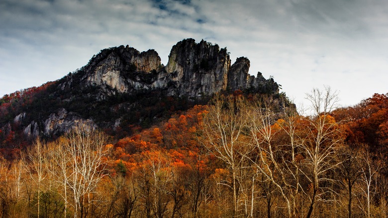 Seneca Rocks fall foliage