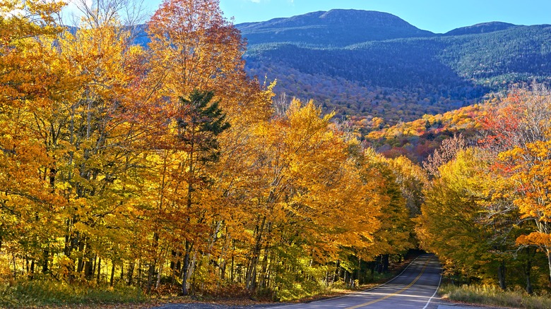 Smugglers' Notch fall foliage mountains