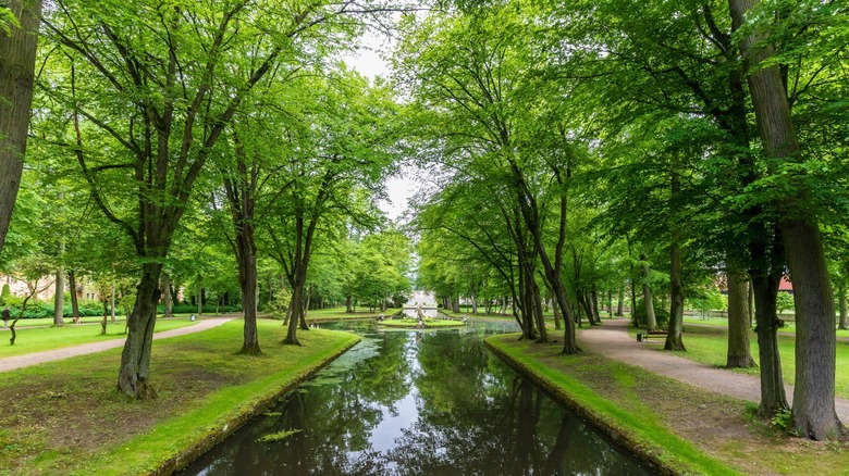 Tree lined palace park Bayreuth