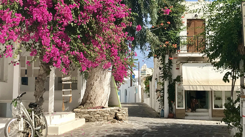 alley in Antiparos