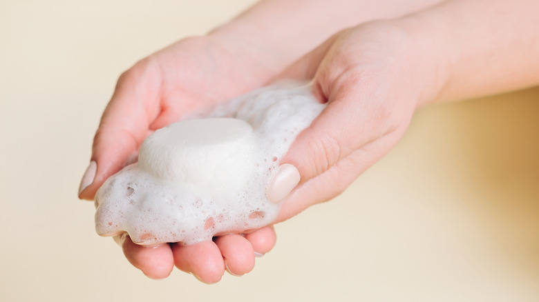 Hands holding a solid shampoo bar