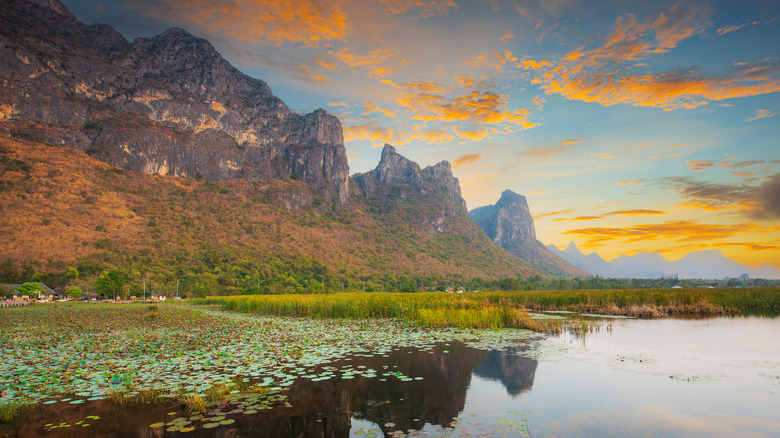 Limestone cliff and freshwater marsh