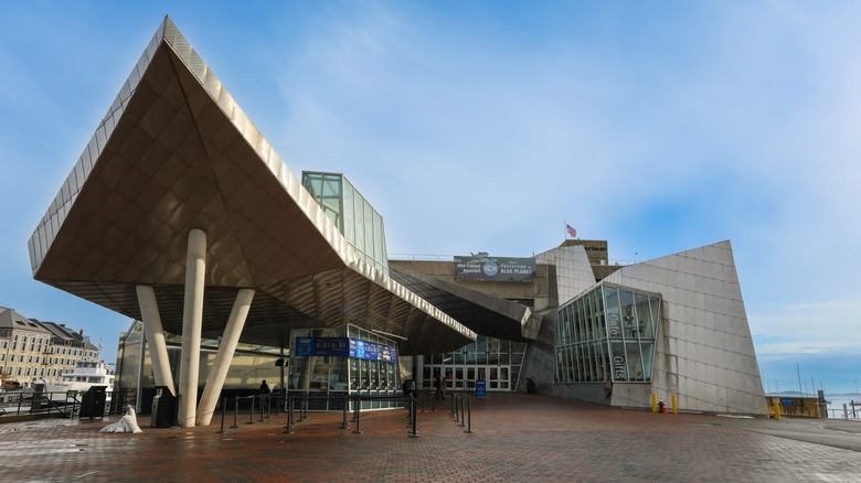 The New England Aquarium