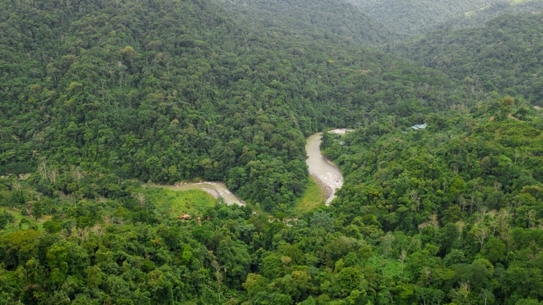 Ariel view of the Pucuare River, Costa Rica