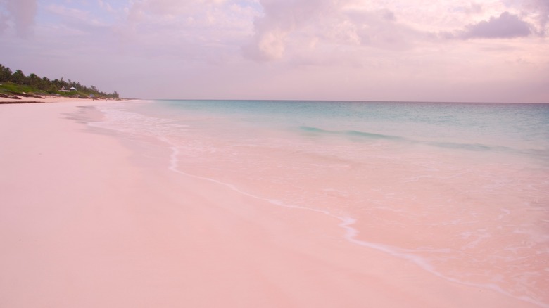 Harbour Island's Pink Sand Beach