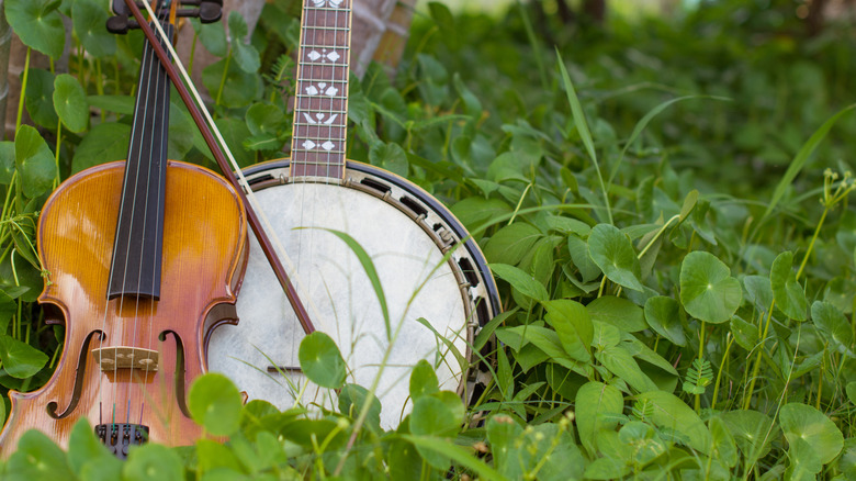 Bluesgrass musical instruments played at Greenville's International Home of the Legends Thumbpicking Weekend