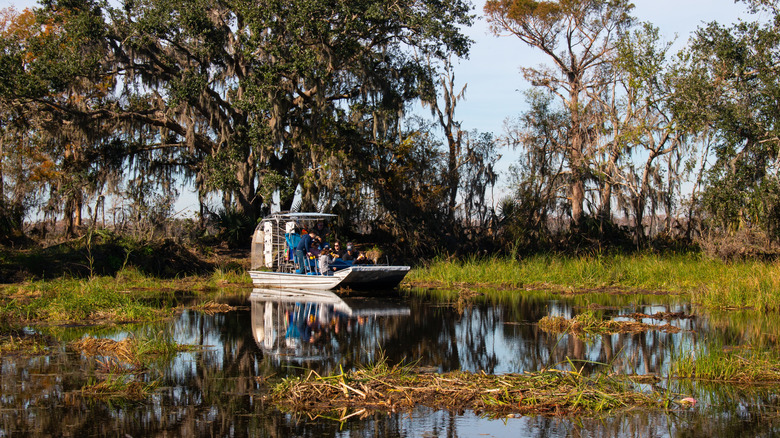 Swamp tour boat