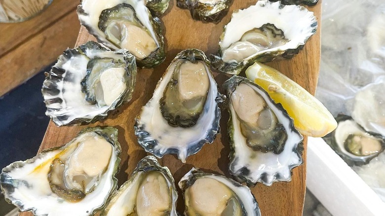 Platter of oysters