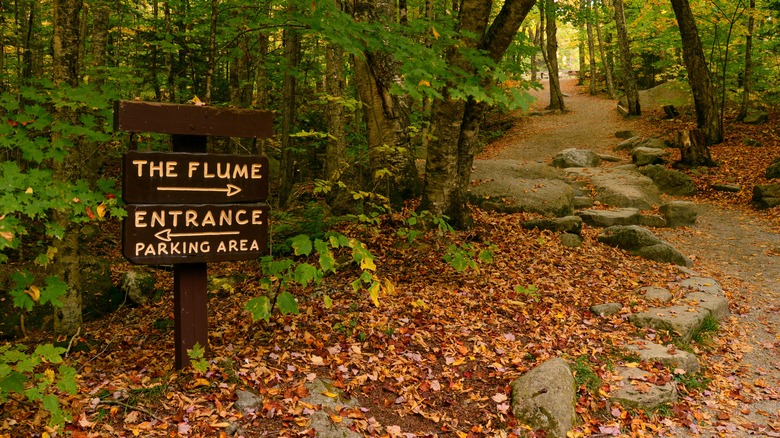 Sign pointing to hiking trails in Franconia Notch State Park in the White Mountains